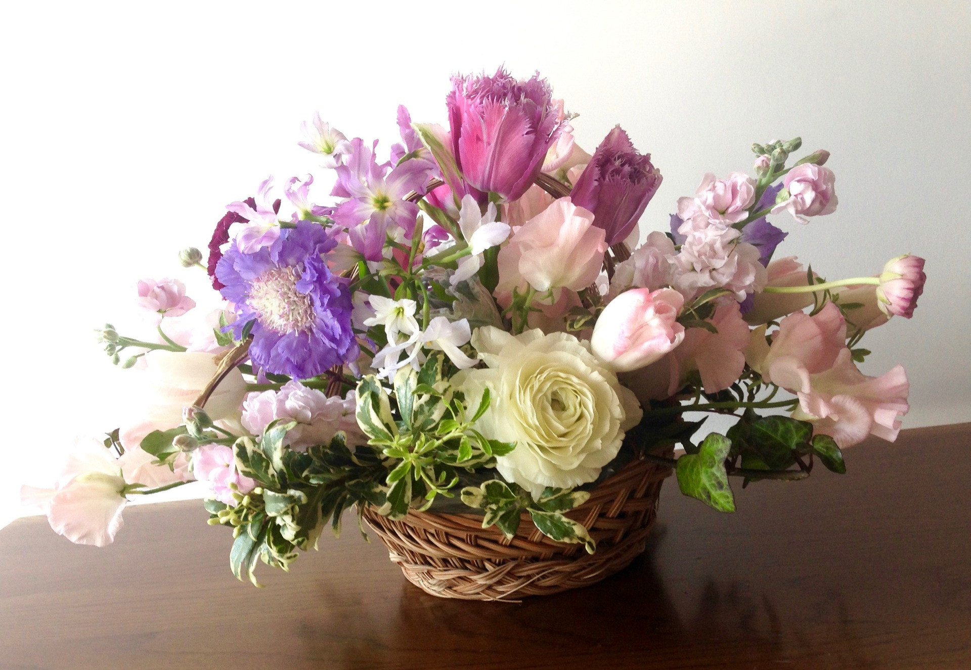 ベーシックコース(基礎)